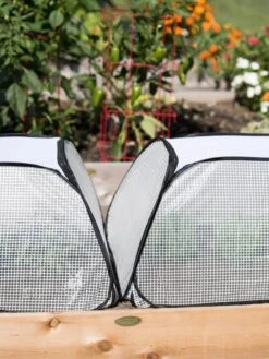 Row Shelter Accelerator -The Bloom Yard Sales Shop 8591990 2199 tif