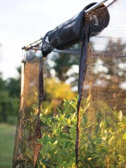 Storm Proof Crop Cage, Large -The Bloom Yard Sales Shop 8592463 115 tif