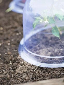 Medium Garden Cloches, Set Of 6 -The Bloom Yard Sales Shop 8593985 9441 tif