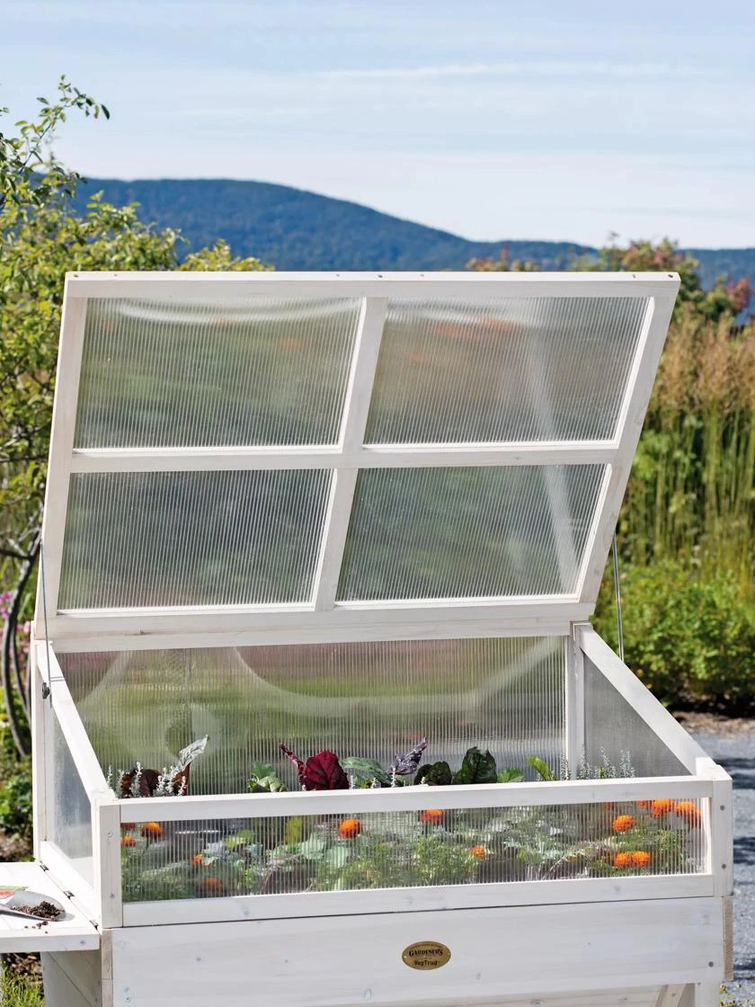 Cold Frame For Compact VegTrug® 2 Cold Frame For Compact VegTrug® - Image 2