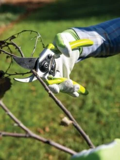 Gardener's Pro Pruner #2 -The Bloom Yard Sales Shop 8596605 032 tif