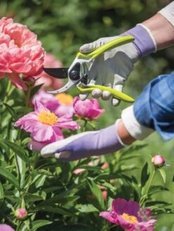 Gardener's Pro Pruner #2 -The Bloom Yard Sales Shop 8596605 1261 tif