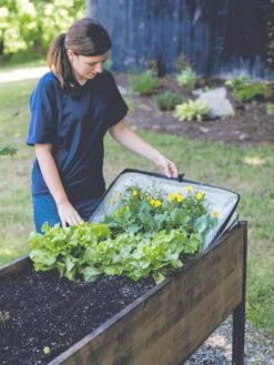 Pop-Up Crop Protector -The Bloom Yard Sales Shop 8596763 EasyCropProtector gif