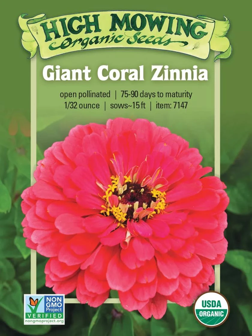 Giant Coral Zinnia Organic Seeds 1 Giant Coral Zinnia Organic Seeds