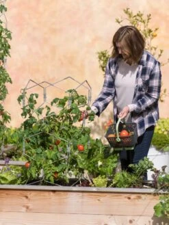 Gardener's Vertex Lifetime Tomato Cage -The Bloom Yard Sales Shop 8598426 0026 tif