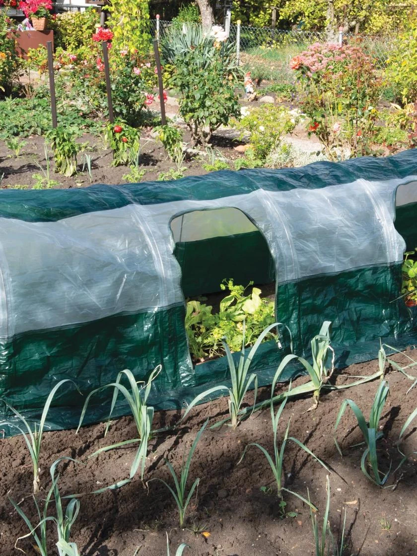 Super Dome Protection Tunnel 1 Super Dome Protection Tunnel