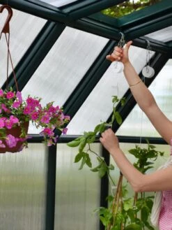 Canopia® By Palram Hobby Gardener Greenhouse, 8' -The Bloom Yard Sales Shop 8599331 04V tif