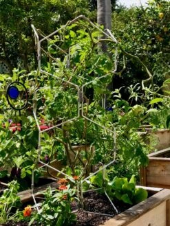 Gardener's Vertex Lifetime Pepper And Eggplant Cage 11 Gardener's Vertex Lifetime Pepper And Eggplant Cage -The Bloom Yard Sales Shop 8599554 01CUST tif