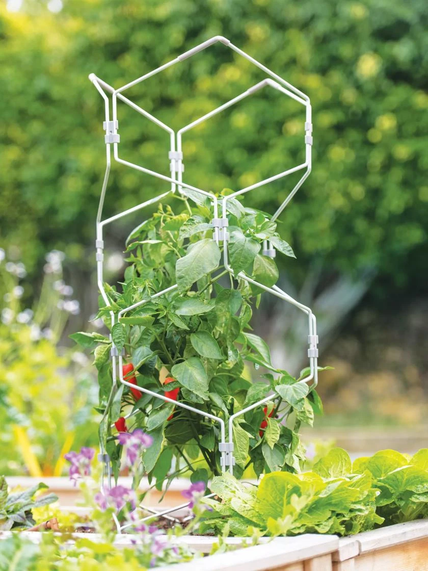 Gardener's Vertex Lifetime Pepper And Eggplant Cage 1 Gardener's Vertex Lifetime Pepper And Eggplant Cage