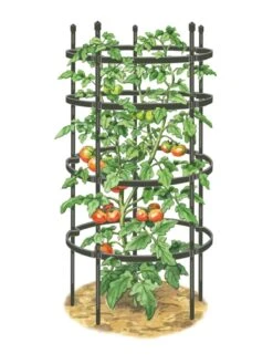 Titan Tomato Cages, Set Of 3 -The Bloom Yard Sales Shop 8599861 0001 art tif