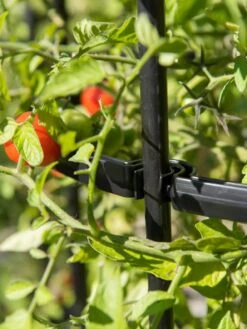 Titan Tomato Cages, Set Of 3 -The Bloom Yard Sales Shop 8599861 0079 tif