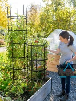 Titan Tomato Cages, Set Of 3 -The Bloom Yard Sales Shop 8599861 0114 tif