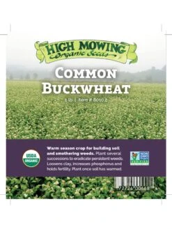 Common Buckwheat Organic Seeds -The Bloom Yard Sales Shop 8599871 04v