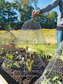 Chicken Wire Cloche With Extension -The Bloom Yard Sales Shop 8600116 0604 3 4
