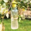 Bottle Insect Traps, Set Of 6