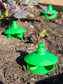 Slug And Snail Traps, Set Of 3 -The Bloom Yard Sales Shop 8600120 1788