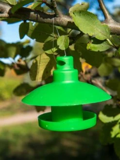 Slug And Snail Traps, Set Of 3 -The Bloom Yard Sales Shop 8600120 1792