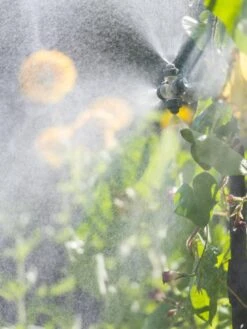 Landscape 4-Way Cooling Mist Kit, 50' -The Bloom Yard Sales Shop 8600154 0695 tif