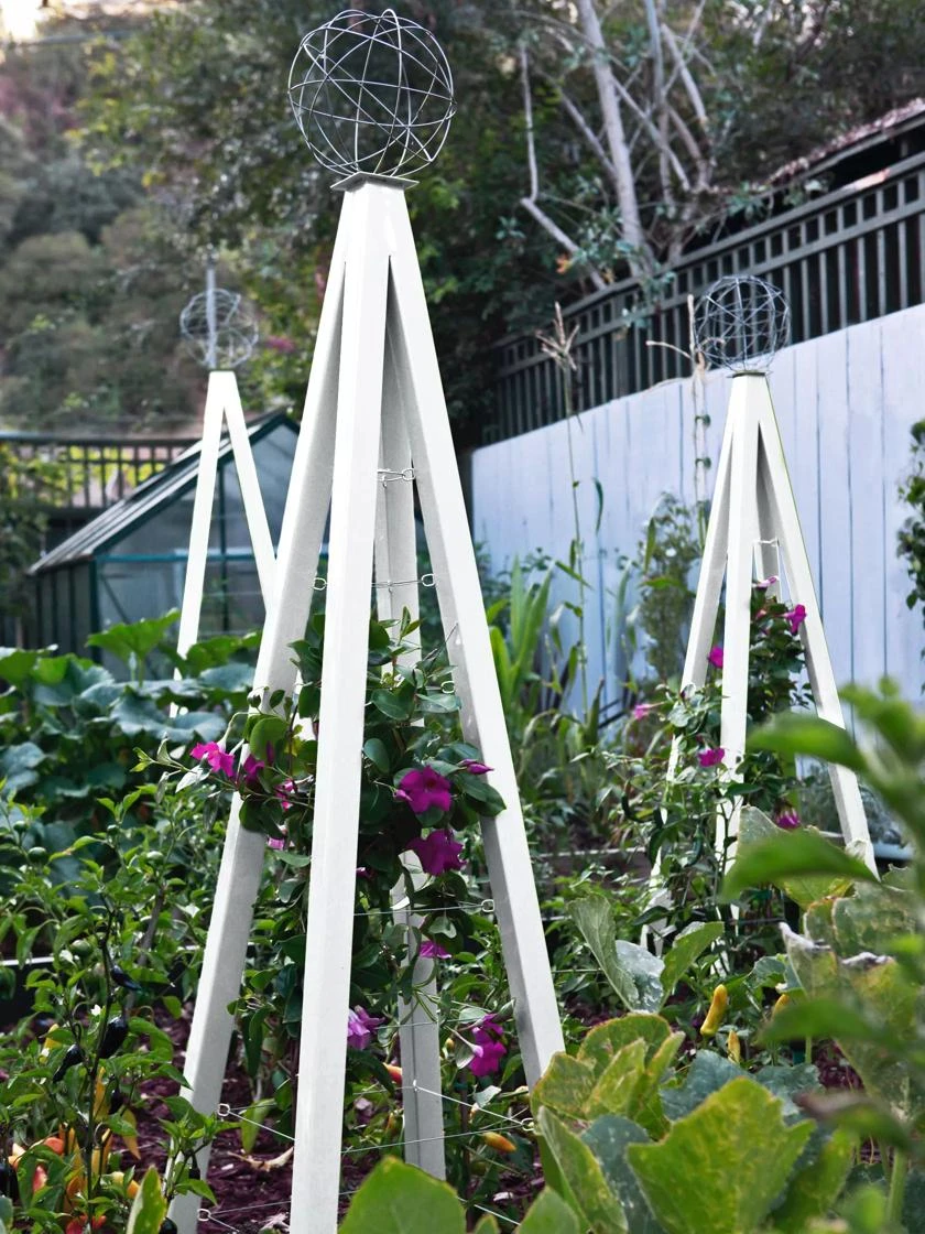 Akoris Garden Tuteur Sr. 5 Akoris Garden Tuteur Sr. - Image 5