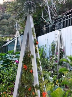 Akoris Garden Tuteur Jr. -The Bloom Yard Sales Shop 8600517 07V tif