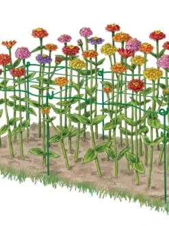 Cut Flower Grid Support, Set Of 2 -The Bloom Yard Sales Shop 8600620 0002 art tif
