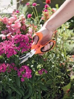 Gardener's Multi Purpose Scissors -The Bloom Yard Sales Shop 8608655 19551 tif