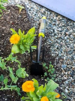 Gardener's 2-in-1 Short Handle Hoe And Cultivator -The Bloom Yard Sales Shop 8608657 19479 tif