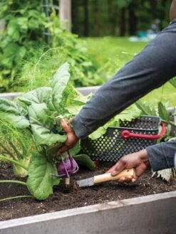 Gardener's Lifetime Hori Hori Knife -The Bloom Yard Sales Shop 8608888 0422 tif
