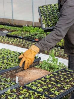 The Vermonter By Vermont Glove -The Bloom Yard Sales Shop 8608918 08v