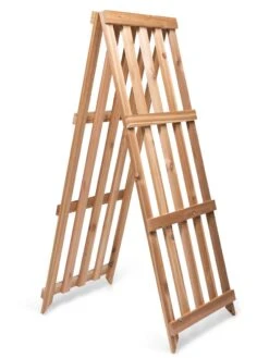 Cedar Shrub Guard -The Bloom Yard Sales Shop 8609071 5061