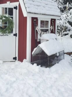 Chicken Wire Crop Coop 22 Chicken Wire Crop Coop -The Bloom Yard Sales Shop 8609080 03IN tif