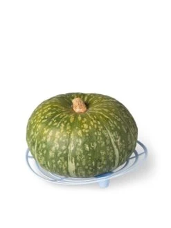 Melon And Squash Cradles, Set Of 6 -The Bloom Yard Sales Shop 8609464 5204 tif