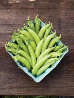 Family Garden Organic Seed Collection, Set Of 7 9 Family Garden Organic Seed Collection, Set Of 7 -The Bloom Yard Sales Shop 8610262 cascadia peas 01V tif