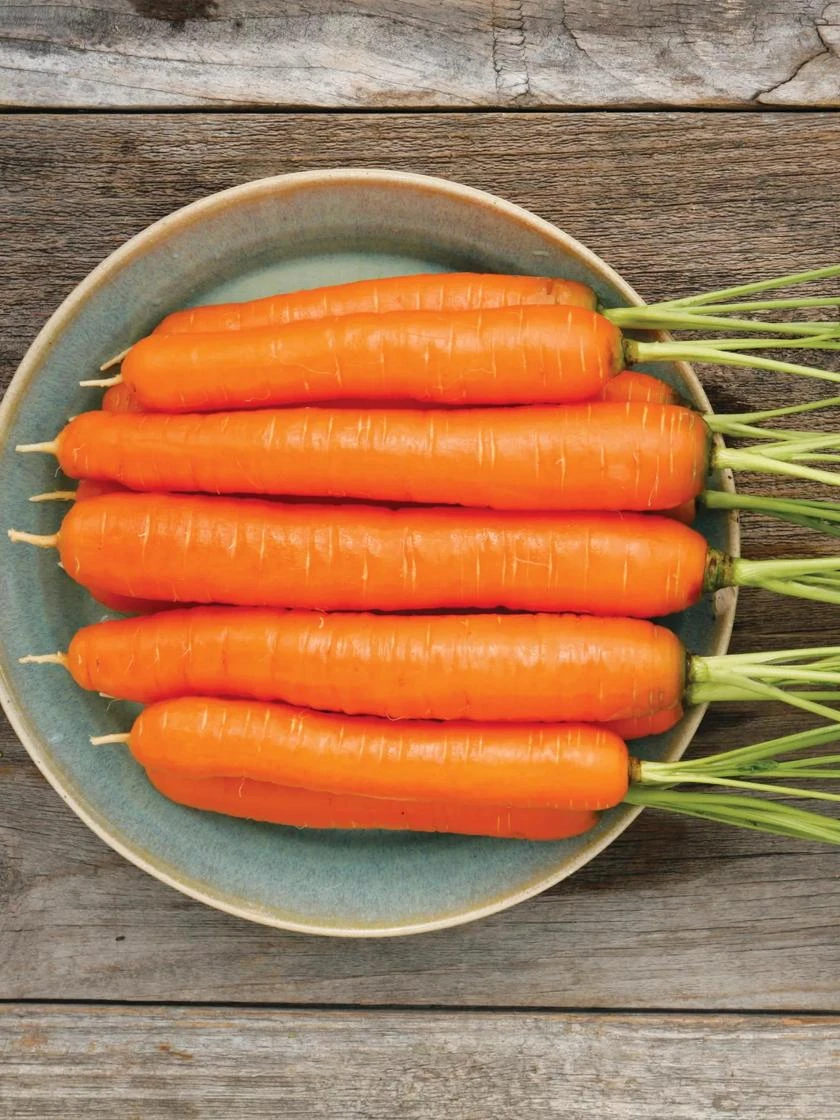 Family Garden Organic Seed Collection, Set Of 7 2 Family Garden Organic Seed Collection, Set Of 7 - Image 2