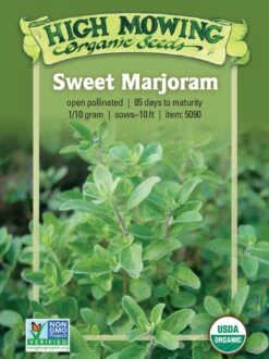 The Bloom Yard Sales Shop 32 Sweet Marjoram Organic Seeds