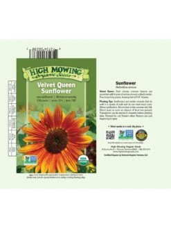 Velvet Queen Sunflower Organic Seeds 5 Velvet Queen Sunflower Organic Seeds -The Bloom Yard Sales Shop 8610362 01v
