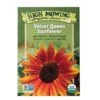 Velvet Queen Sunflower Organic Seeds