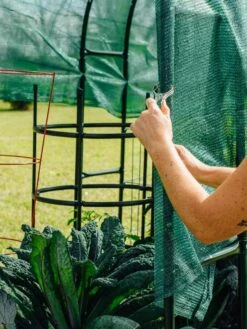 Maxi Garden Hoops With Clips -The Bloom Yard Sales Shop 8610372 368 tif