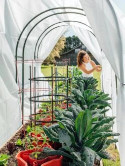 Maxi Garden Hoops With Clips -The Bloom Yard Sales Shop 8610373 377 tif