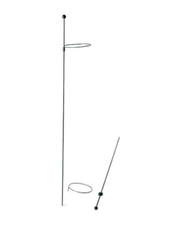 Peacock Mini Plant Support Rings 4", Set Of 2 12 Peacock Mini Plant Support Rings 4", Set Of 2 -The Bloom Yard Sales Shop 8610386 9566