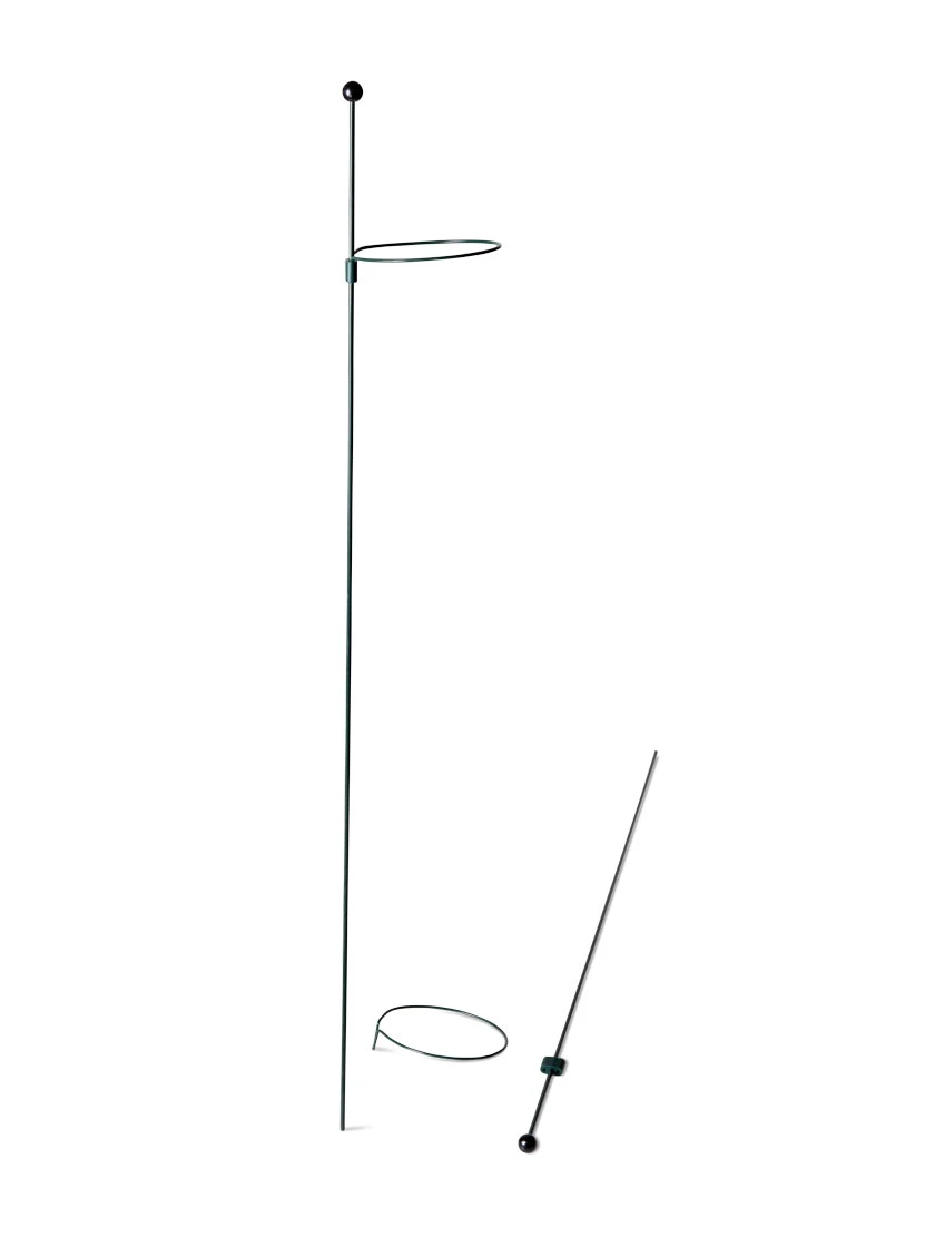 Peacock Mini Plant Support Rings 4", Set Of 2 5 Peacock Mini Plant Support Rings 4", Set Of 2 - Image 5