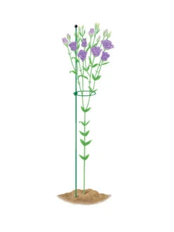 Peacock Mini Plant Support Rings 4", Set Of 2 10 Peacock Mini Plant Support Rings 4", Set Of 2 -The Bloom Yard Sales Shop 8610386 peacock4x36