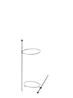 Peacock Mini Plant Support Rings 8", Set Of 2 12 Peacock Mini Plant Support Rings 8", Set Of 2 -The Bloom Yard Sales Shop 8610387 9571 tif