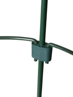 Peacock Mini Plant Support Rings 8", Set Of 2 11 Peacock Mini Plant Support Rings 8", Set Of 2 -The Bloom Yard Sales Shop 8610387 9577 tif 1