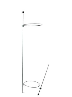 Peacock Mini Plant Support Rings 8", Set Of 2 13 Peacock Mini Plant Support Rings 8", Set Of 2 -The Bloom Yard Sales Shop 8610388 9565 tif