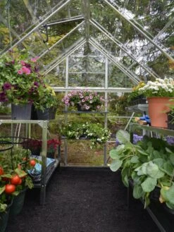 Canopia® By Palram Harmony™ Greenhouse, 6' X 14' -The Bloom Yard Sales Shop 8610563 03V jpg