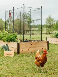 Tall Chicken Wire Critter Fence With Gate -The Bloom Yard Sales Shop 8611020 316 tif