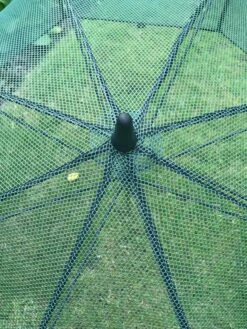 GardenSkill Pop N Crop Plant Umbrella -The Bloom Yard Sales Shop 8611105 07V tif