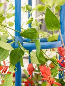 Fleur De Lis Obelisk, 67" 7 Fleur De Lis Obelisk, 67" -The Bloom Yard Sales Shop 8611663 0607 tif