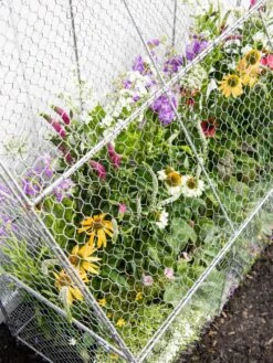 Chicken Wire Flat Back Crop Coop -The Bloom Yard Sales Shop 8611701 153 tif